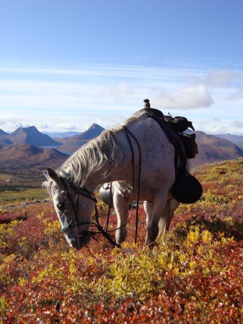 Mervyn’s Yukon Outfitting Travel Yukon Yukon, Canada Official